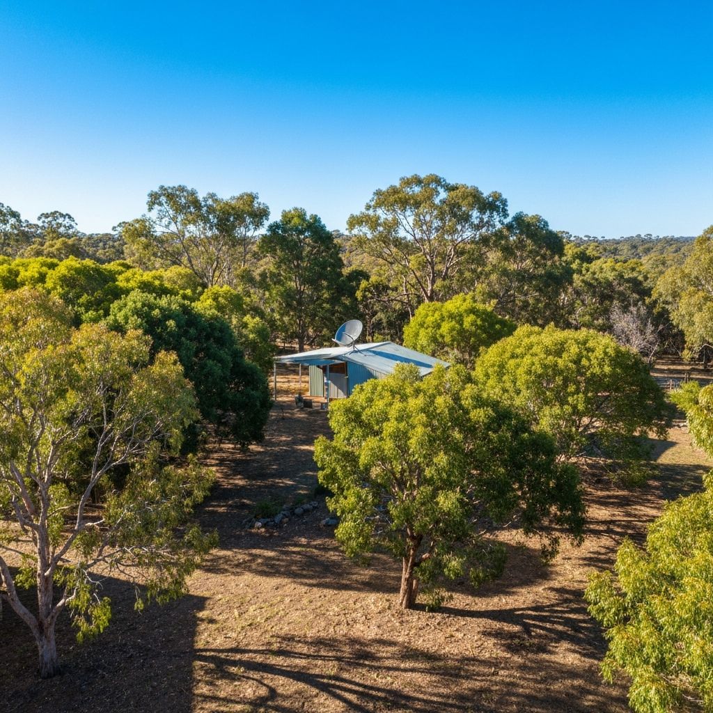Starlink dish helping a Perth hills home with poor NBN